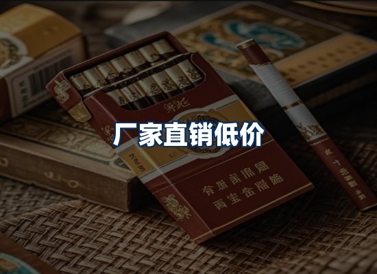 专业团队办公环境